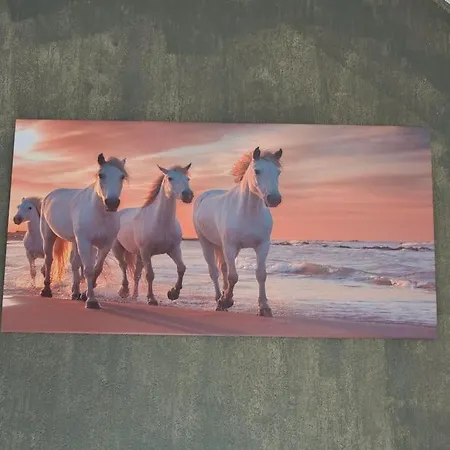 Lägenhet Le Fer A Cheval 4 Pers. Confort *